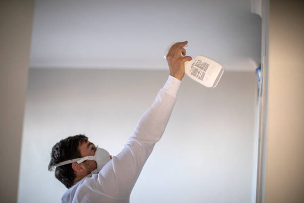 Best Home Mold Removal  in Matheny, CA