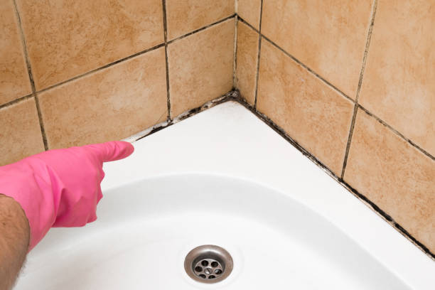 Best Crawl Space Mold Removal  in Matheny, CA